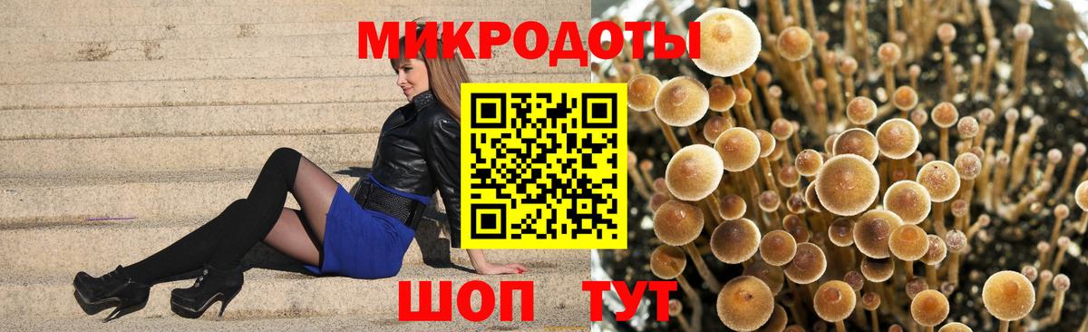 Галлюциногенные грибы Cubensis Кунгур